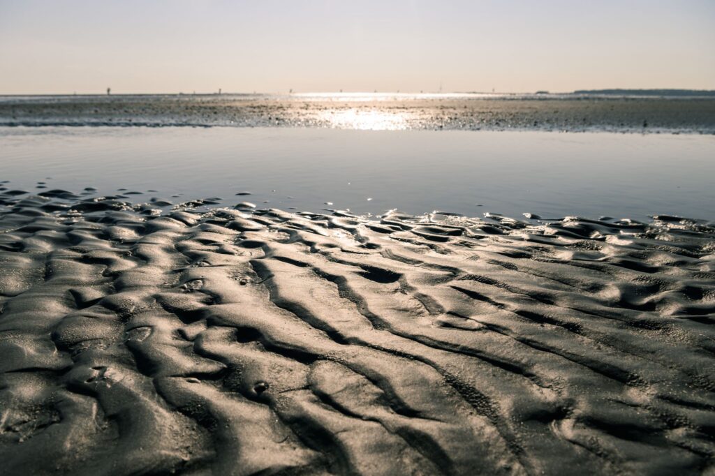 Wattenmeer