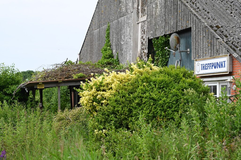 Ehemaliger Campingplatz Dyksterhus