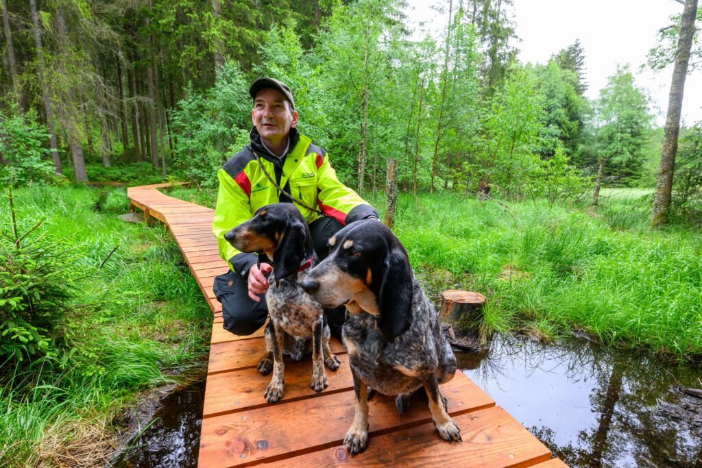 Moorrevitalisierung in Sachsen