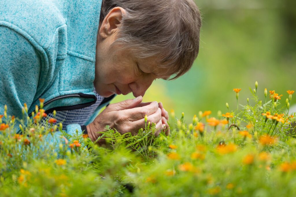 Botanischer Blindengarten