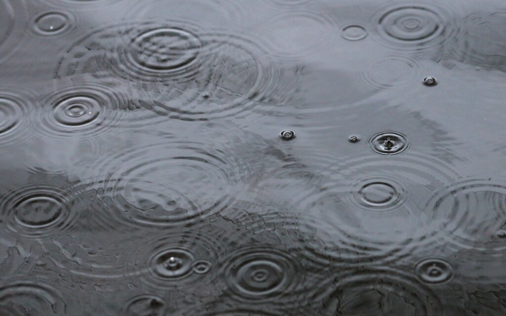 Regen