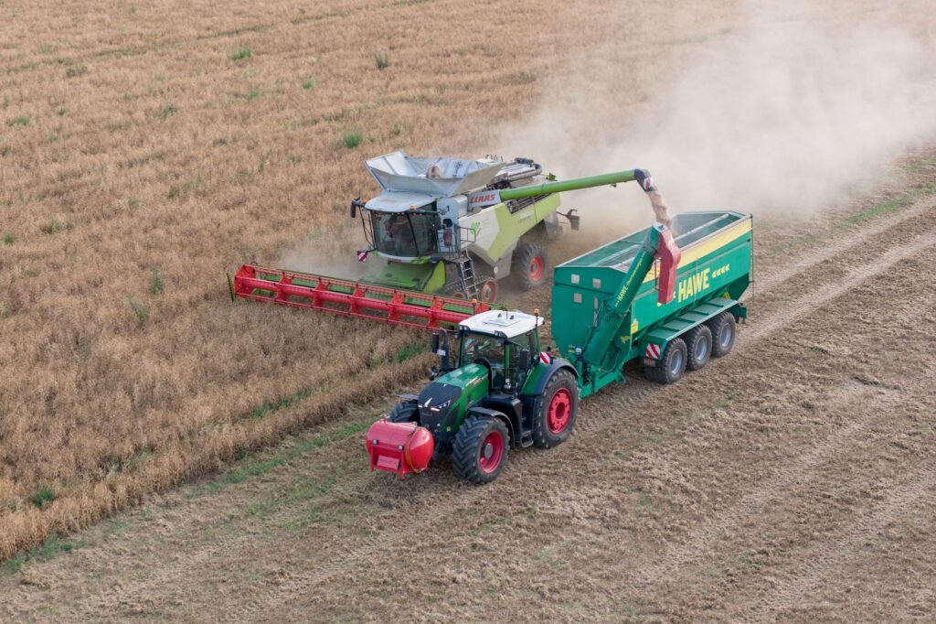 Erbsenernte in Sachsen