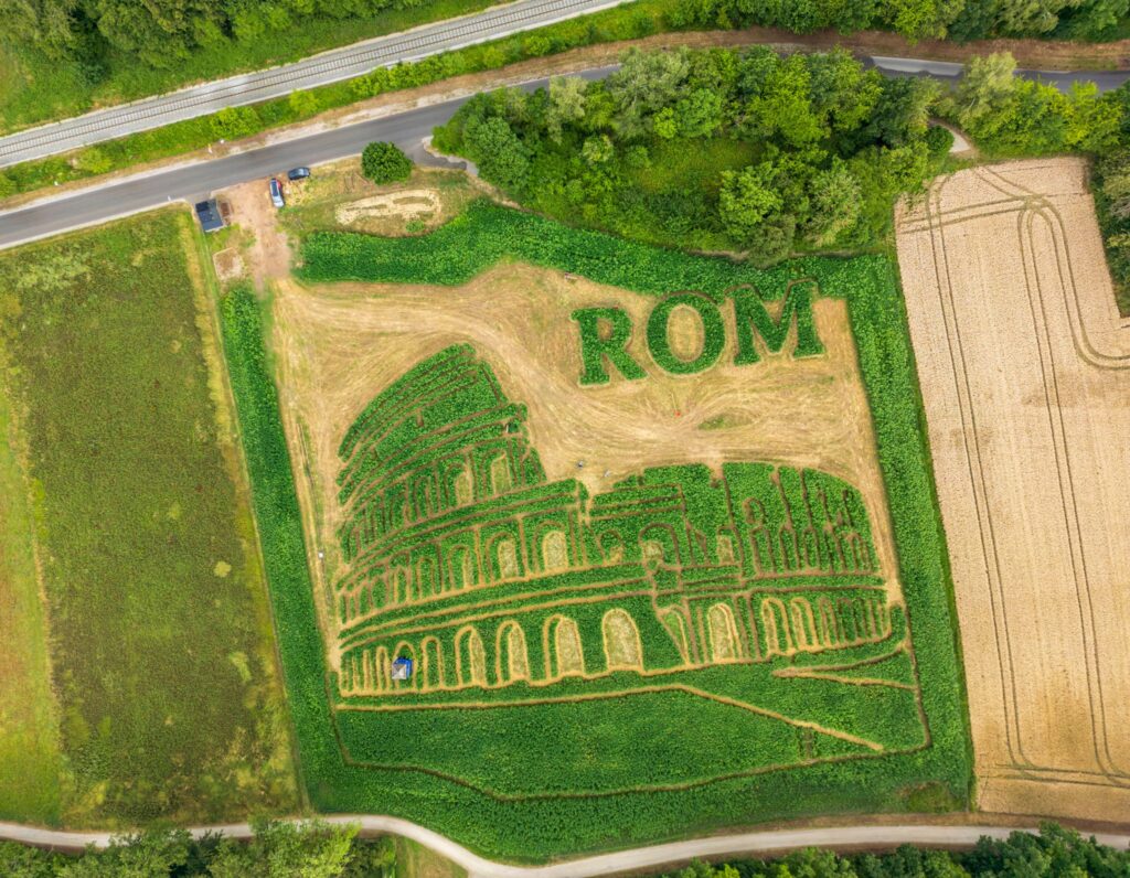 Labyrinth im Pflanzenfeld