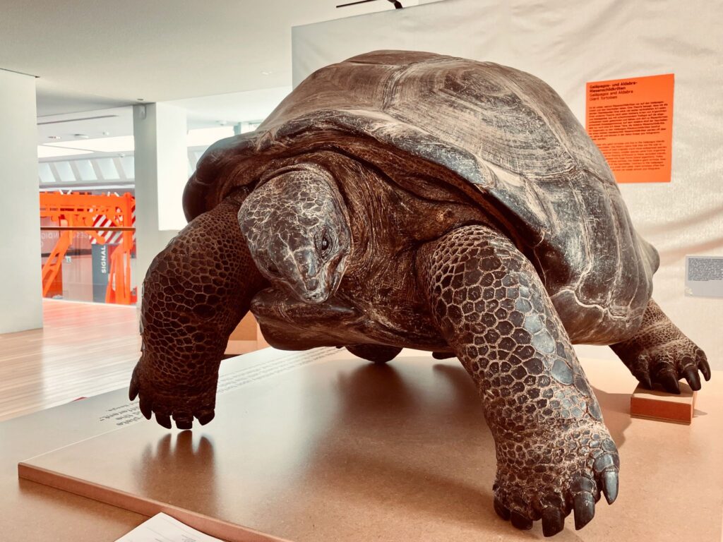 Ausstellung «Tiere an Bord – Wissen