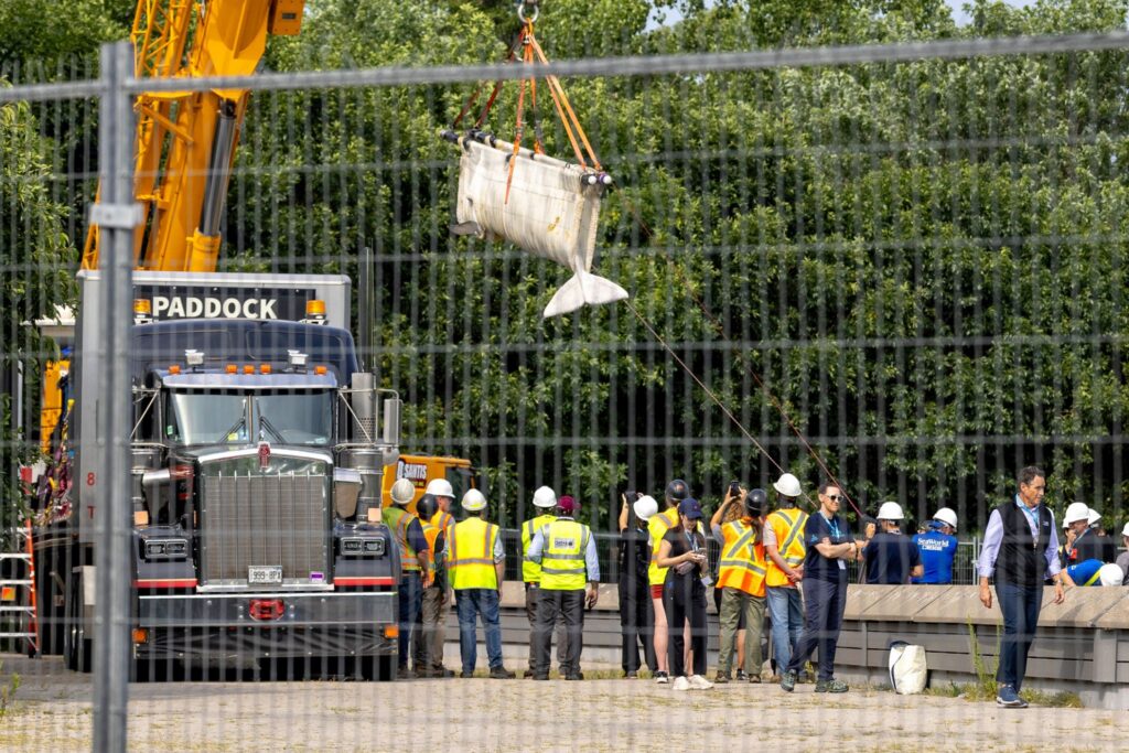 Transport von Beluga-Walen