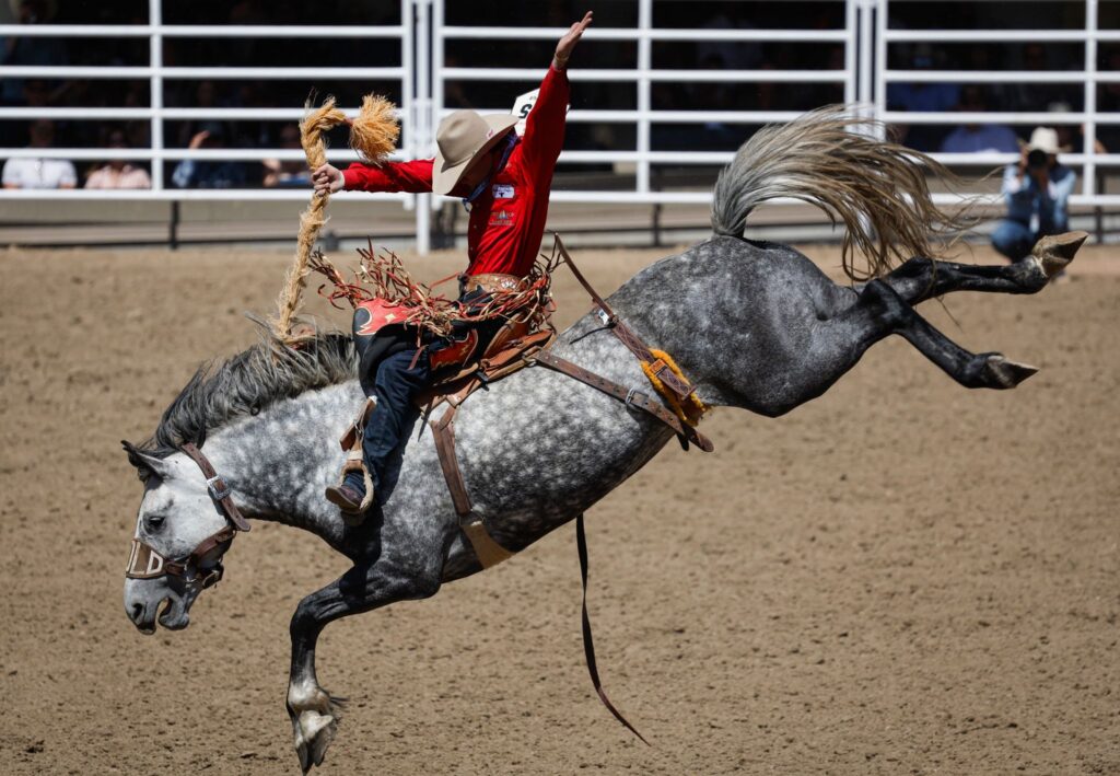 Calgary Stampede Rodeo