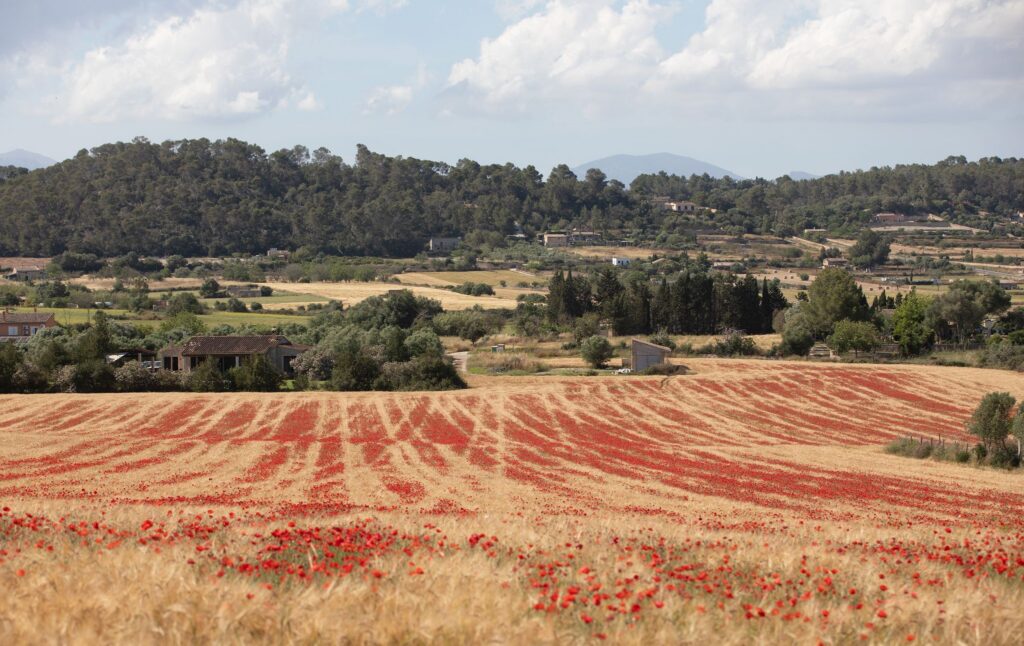 Ländliche Region in Spanien