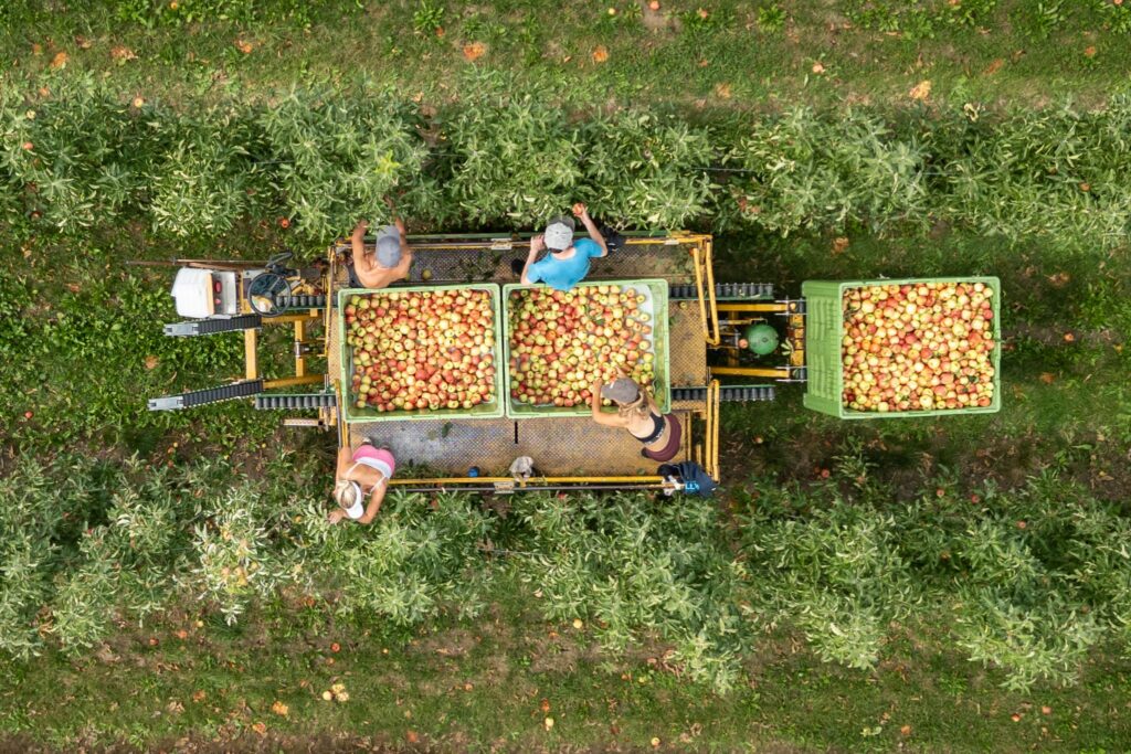 Eröffnung der Bodensee-Apfelsaison 2026/2027