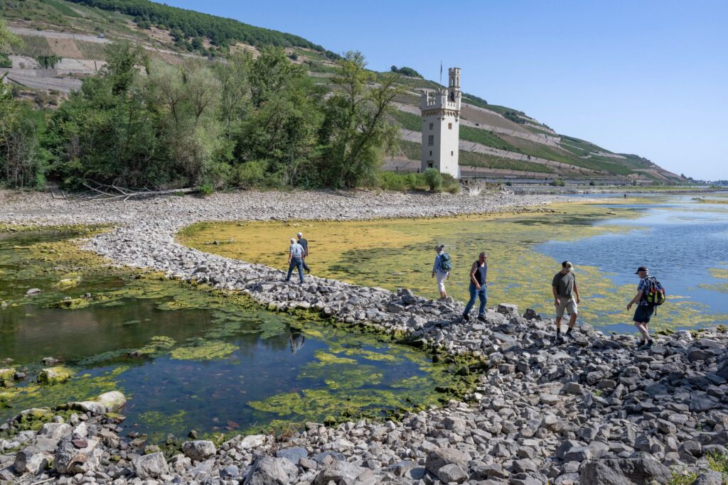 Extremes Niedrigwasser auf dem Rhein