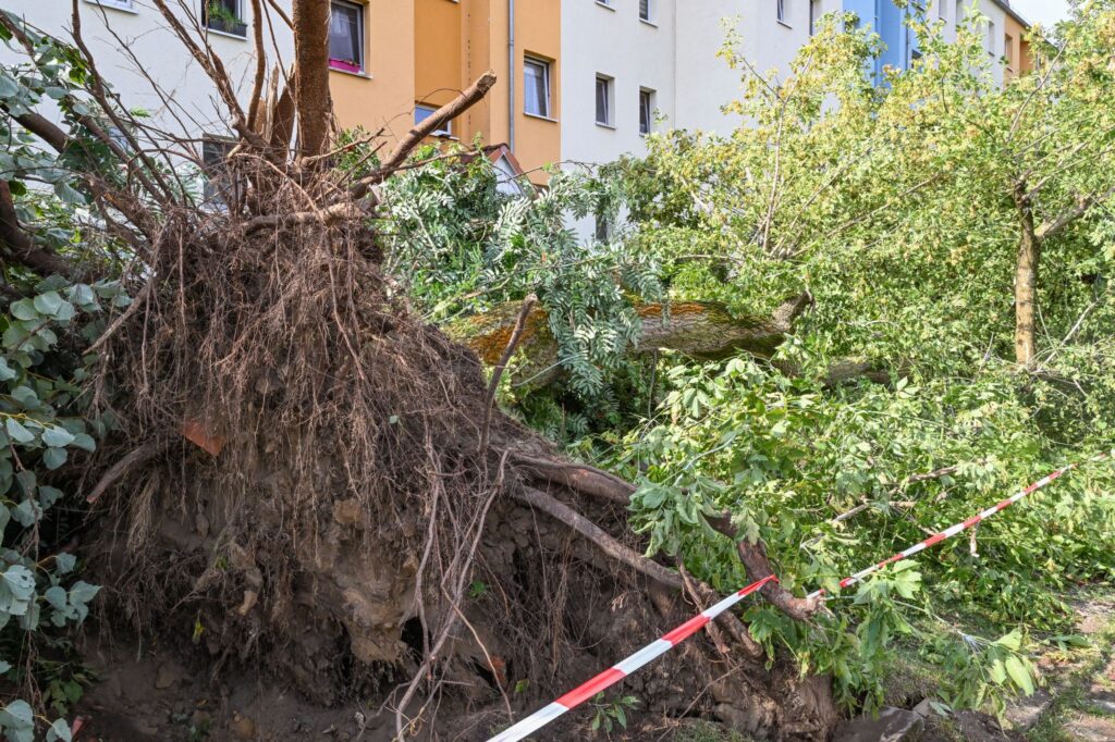 Tornado in Brandenburg