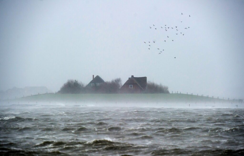 Wattenmeer
