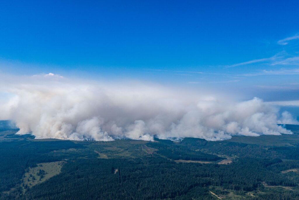Waldbrand in Belgien