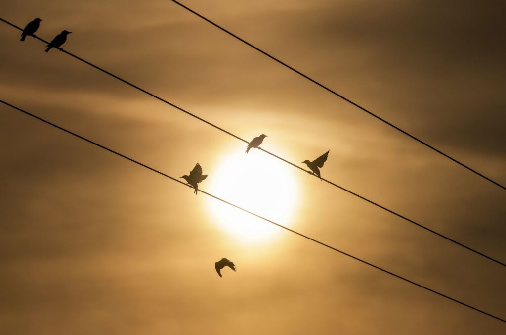 Sonnenaufgang