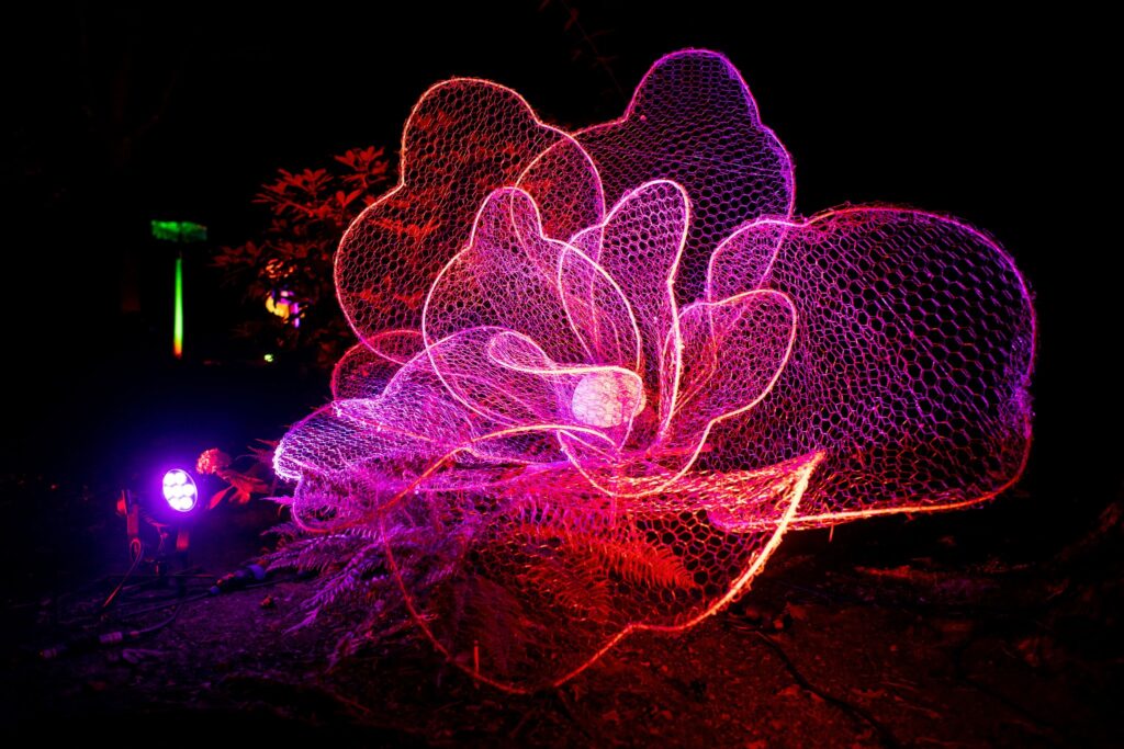 „Illumination - Lichtzauber im Park“ in Bad Zwischenahn