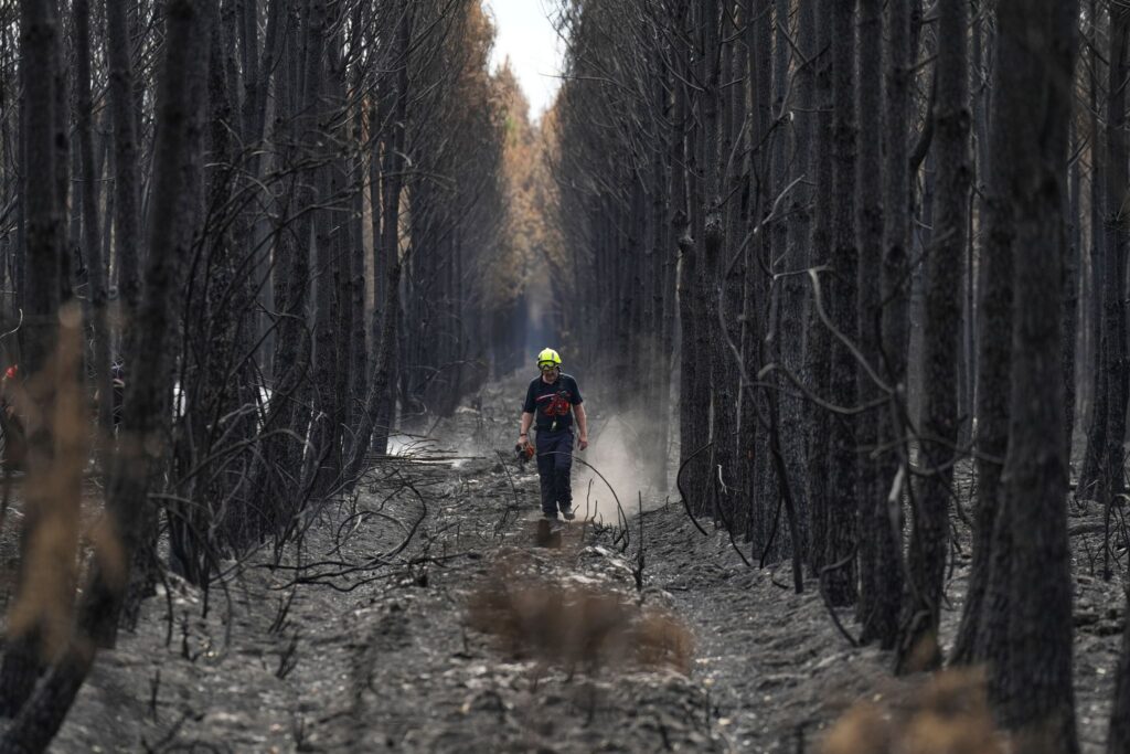 Waldbrände in Frankreich