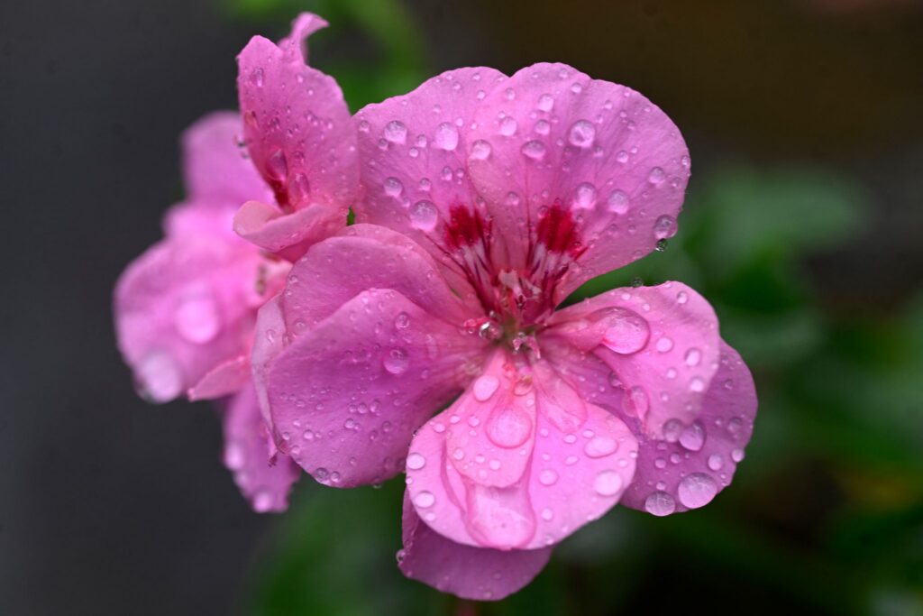 Wetter in Nordrhein-Westfalen