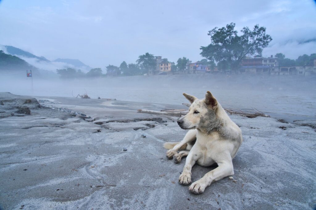 Nepal