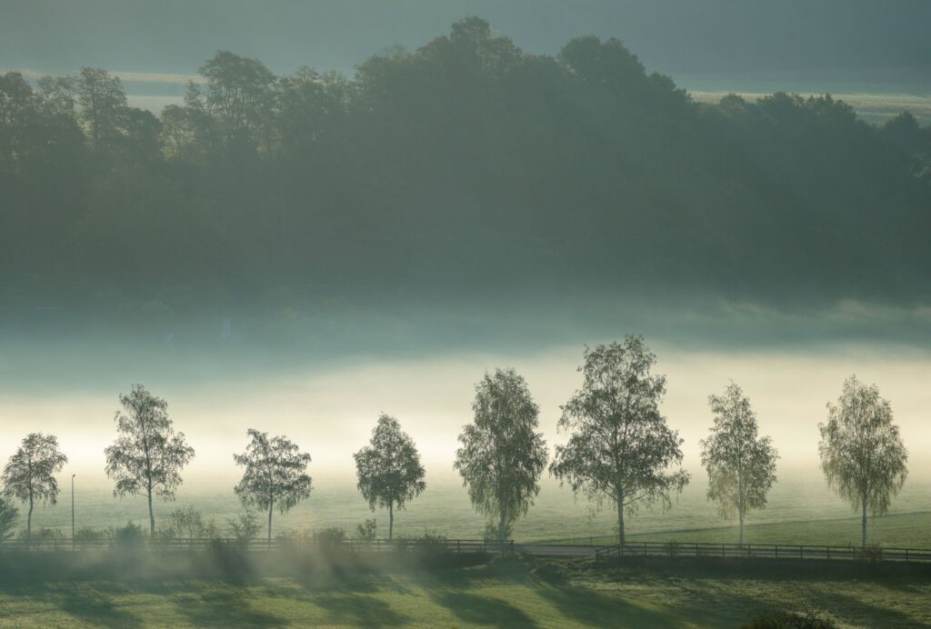 Landschaft