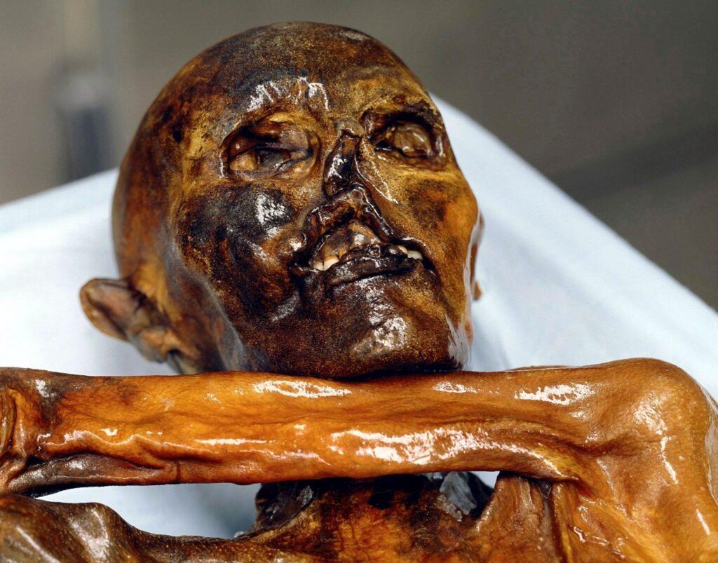 35 Jahre nach dem Fund der Gletschermumie Ötzi