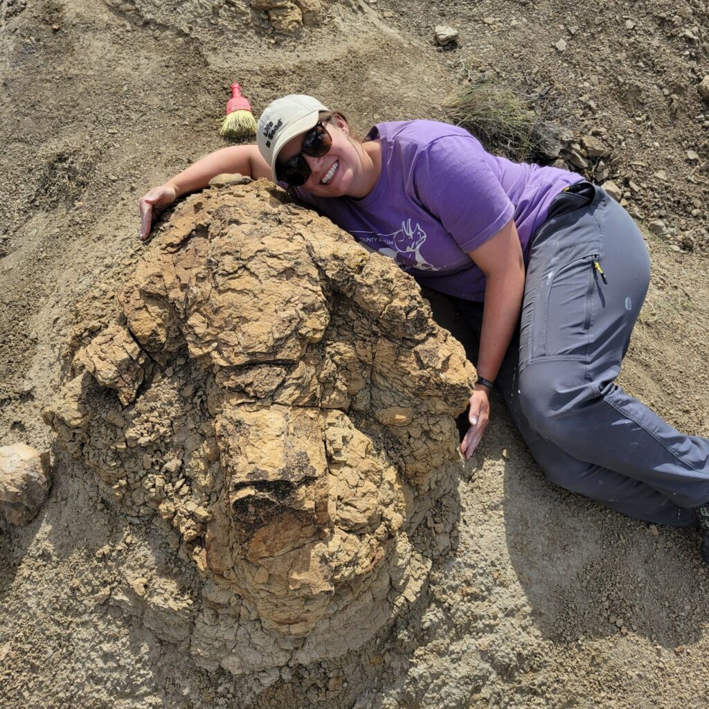 T-Rex Spuren gefunden
