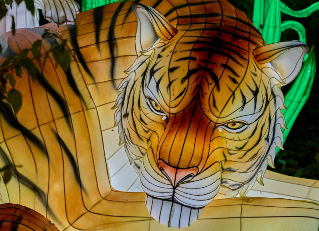 WILD LIGHTS im Zoo Schwerin