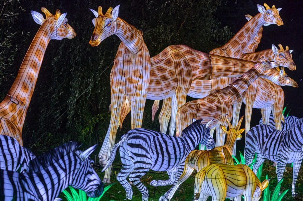 WILD LIGHTS im Zoo Schwerin