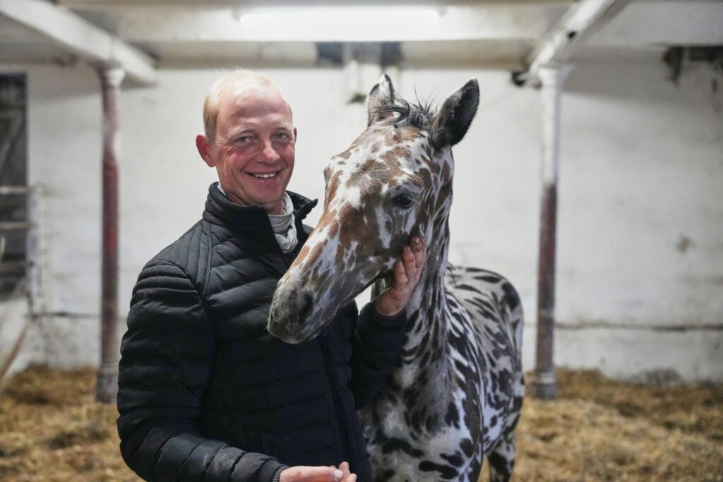 Ein zebrahaft geschecktes Fohlen