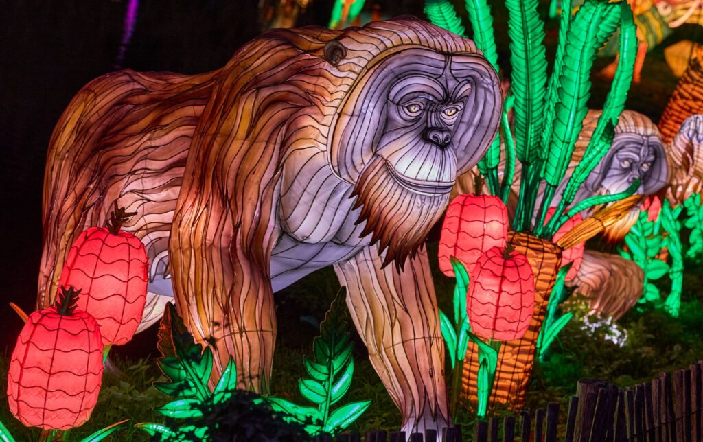 WILD LIGHTS im Zoo Schwerin