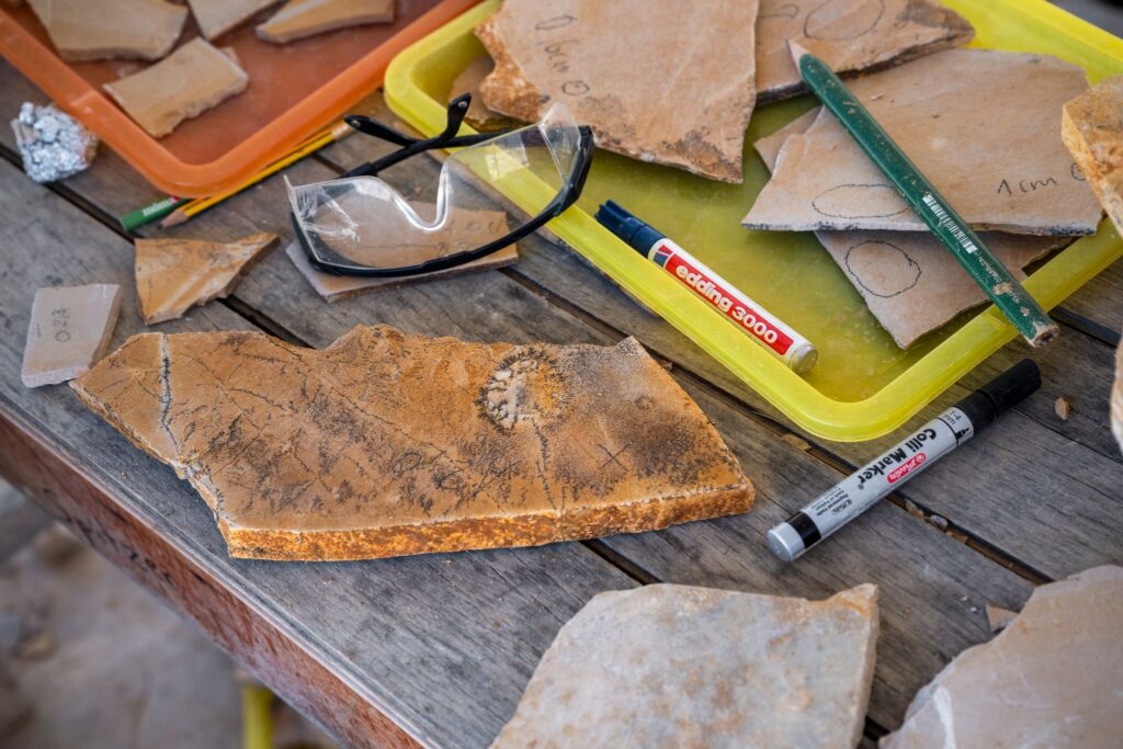 Grabung des Naturkundemuseums Bamberg nach Fossilien