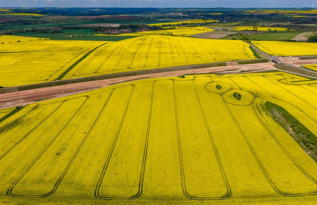 Landwirtschaft in Sachsen-Anhalt