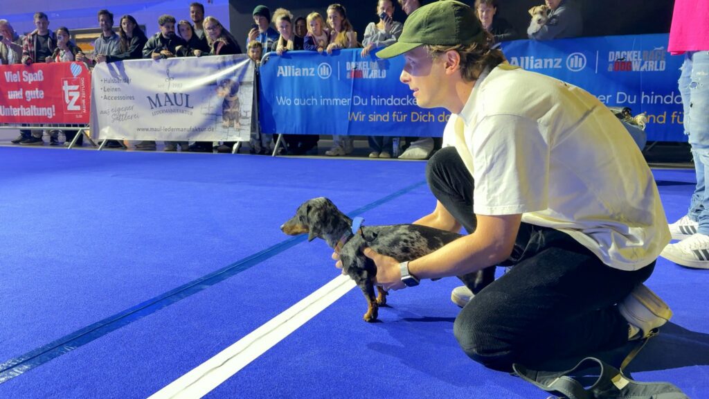 Hundemesse «DogWorld» mit Dackelrennen