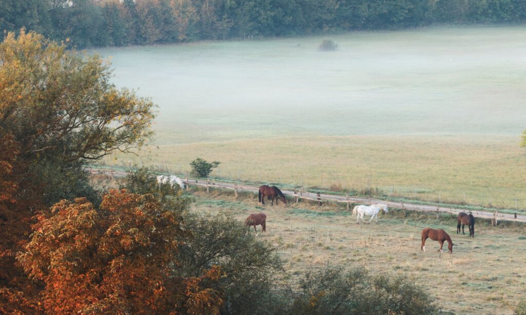 Herbst in Niedersachsen