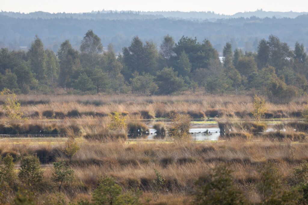 Niedersachsen bildet erstmals eigene Moorspezialistinnen aus