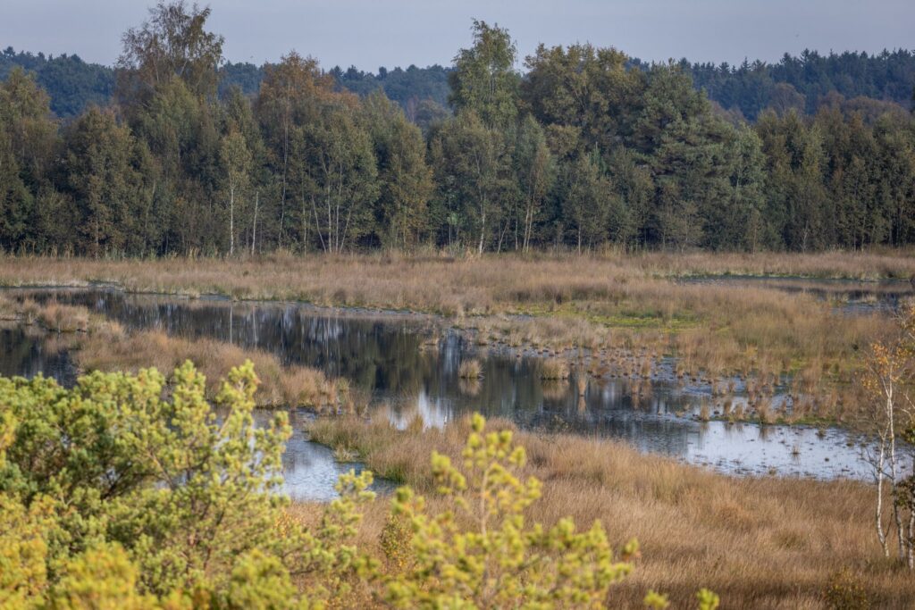 Niedersachsen bildet erstmals eigene Moorspezialistinnen aus